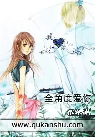 《全角度爱你》小说封面