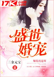《盛世婚宠》小说封面