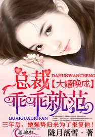 《大婚晚成:总裁乖乖就范!》小说封面
