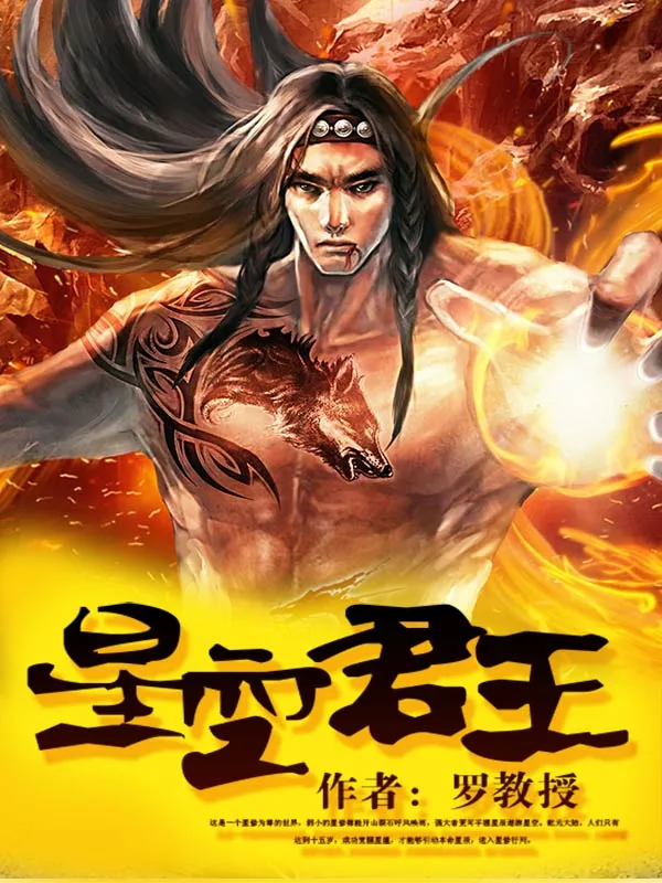 《星空君王》小说封面