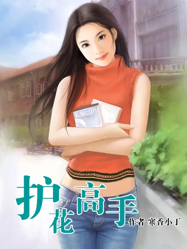 《护花高手》小说封面