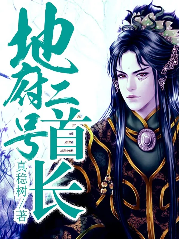 《地府二号首长》小说封面