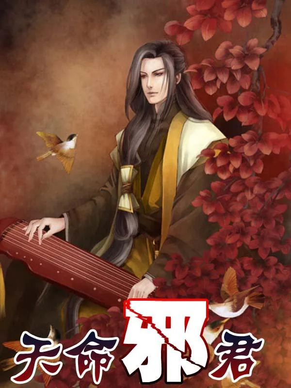 《天命邪君》小说封面
