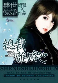 《盛世惊婚:总裁,离婚吧》小说封面