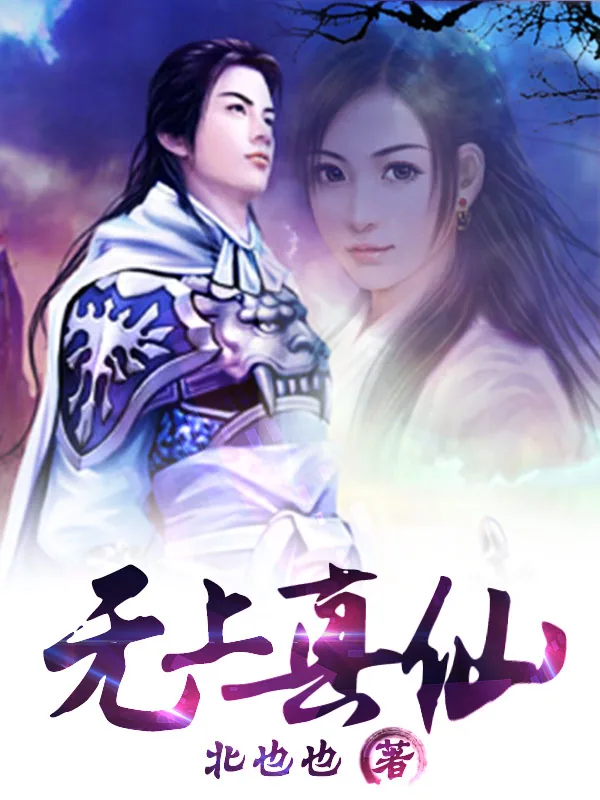 《无上真仙》小说封面