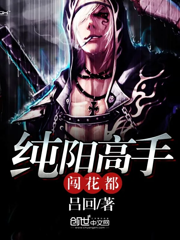 《纯阳高手闯花都》小说封面