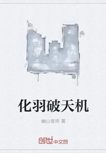 《化羽破天机》小说封面