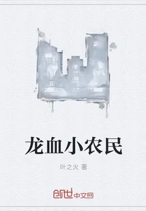 《龙血小农民》小说封面
