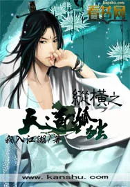 《纵横之天道孤独》小说封面