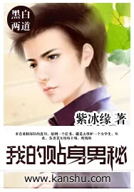 《我的贴身男秘》小说封面