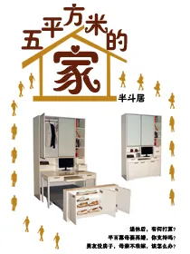 《五平方米的家》小说封面
