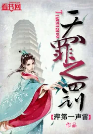 《天罪之罚》小说封面