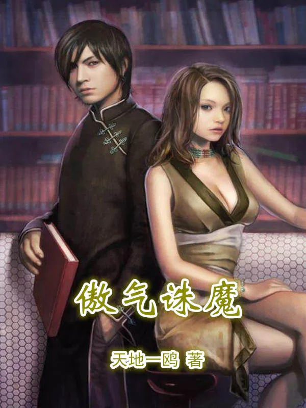 《傲气诛魔》小说封面