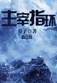 《主宰指环》小说封面