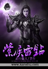 《紫疾雷钻》小说封面