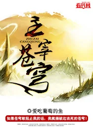 《主宰苍穹》小说封面