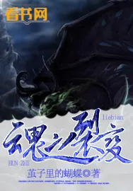 《魂之裂变》小说封面