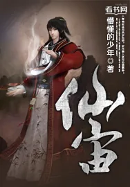 《仙宙》小说封面