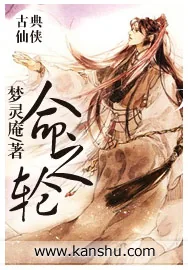 《命之轮》小说封面