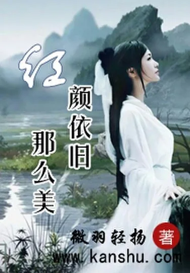 《红颜依旧那么美》小说封面