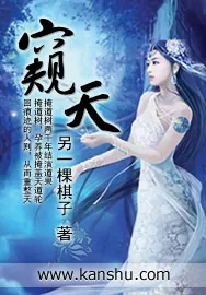 《窥天》小说封面