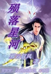 《殒落星河》小说封面