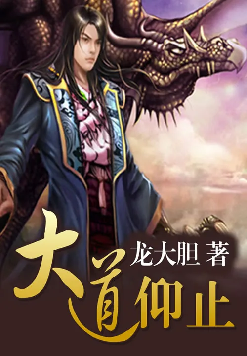 《大道仰止》小说封面