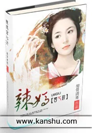 《辣妈宫心计》小说封面
