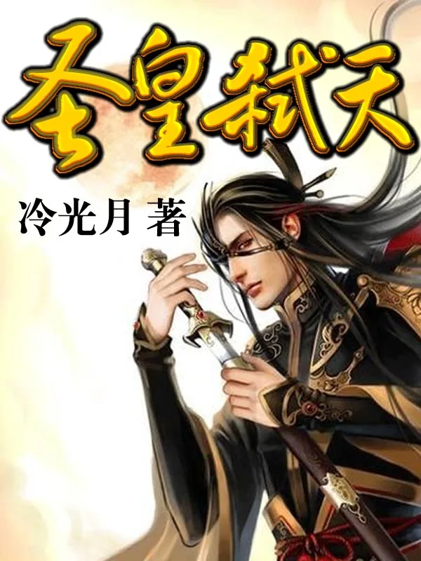 《圣皇弑天》小说封面