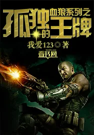 《血狼系列之：孤独的王牌》小说封面