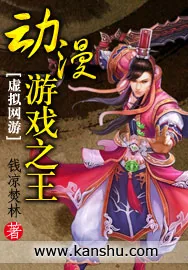 《动漫游戏之王》小说封面