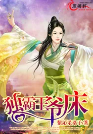 《独霸王爷床》小说封面