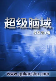 《超级脑域》小说封面