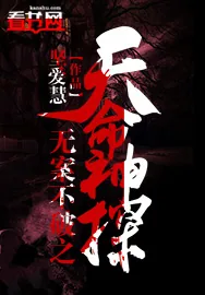 《无案不破之天命神探》小说封面