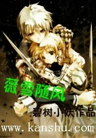 《薇雪随风》小说封面
