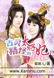 《古灵精怪的太子妃》小说封面