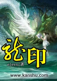 《龙印》小说封面