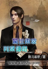 《惊世东坡判案传奇》小说封面