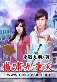 《傲啸九重天》小说封面