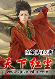 《天下红尘》小说封面