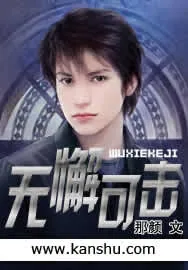 《无懈可击》小说封面