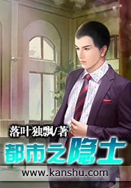 《都市之隐士》小说封面