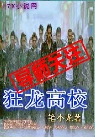 《狂龙高校》小说封面