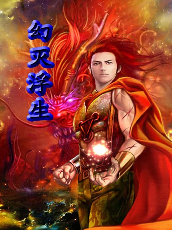 《幻灭浮生》小说封面