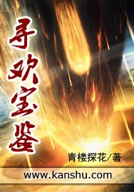 《寻欢宝鉴》小说封面