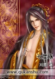 《七星殇》小说封面