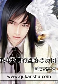 《守护天使的堕落恶魔团》小说封面