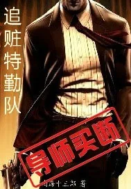 《追赃特勤队》小说封面