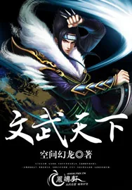 《文武天下》小说封面