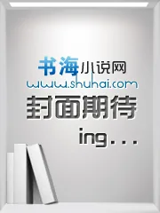 《不色和尚》小说封面